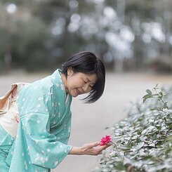 フォトギャラリーのイメージ